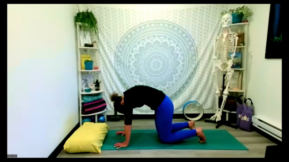Mula Bandha The Pelvic Floor Class